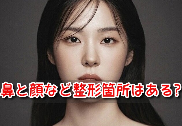 ソ・ウンス　整形前　整形後　鼻　顔　整形箇所　どこ