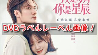 リミットラブ DVD ラベル レーベル 画像 メイキング 特典映像